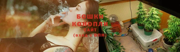 мяу мяу мука Абаза