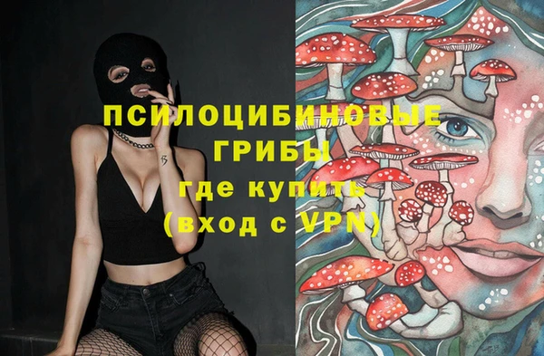 2c-b Вяземский
