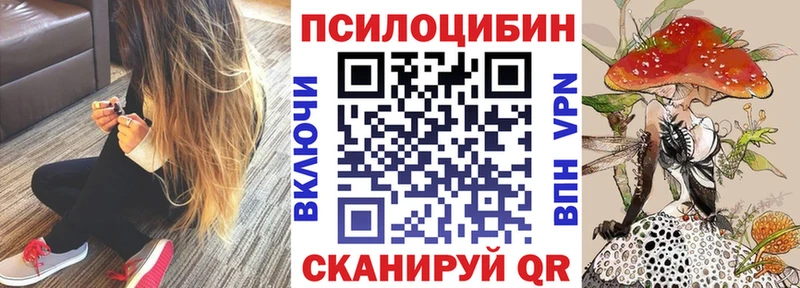 Галлюциногенные грибы Cubensis наркошоп Лысково